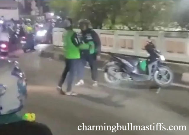 Driver Ojol Melawan Arah di Jakbar, Baku Hantam & Dinonaktifkan