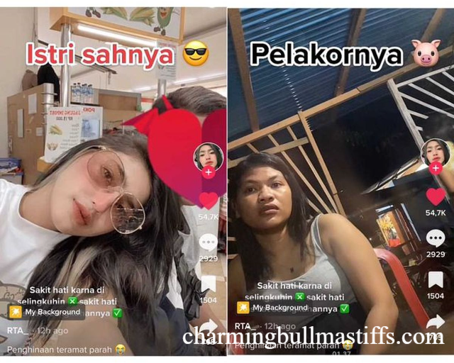 Istri Sah vs Pelakor: Aksi Saling Serang yang Bikin Heboh”