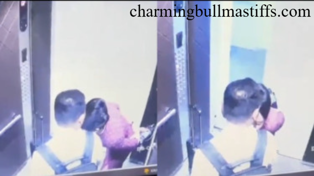 Viral! Detik‑Detik CCTV Perselingkuhan Pilot dan Pramugari