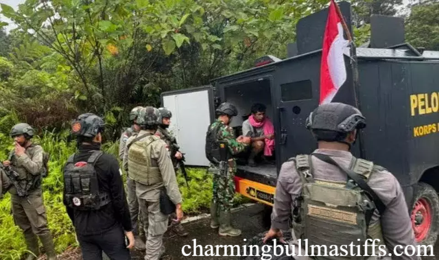 Viral Isu Drone Bomber di Yahukimo, TNI Beberkan Faktanya