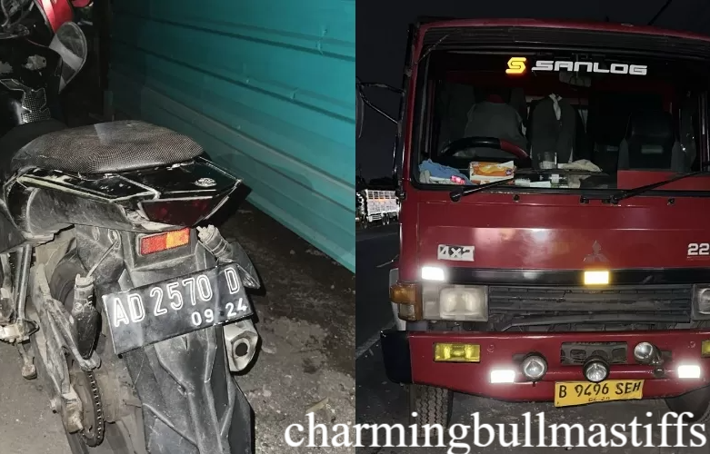 Viral Kasus: WNA Asal Cina Ngamuk Usai Tabrak 2 Motor