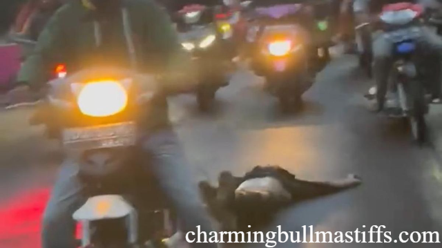 Viral Mayat Diseret Motor di Gowa, Terduga Pelaku Pemerkosaan