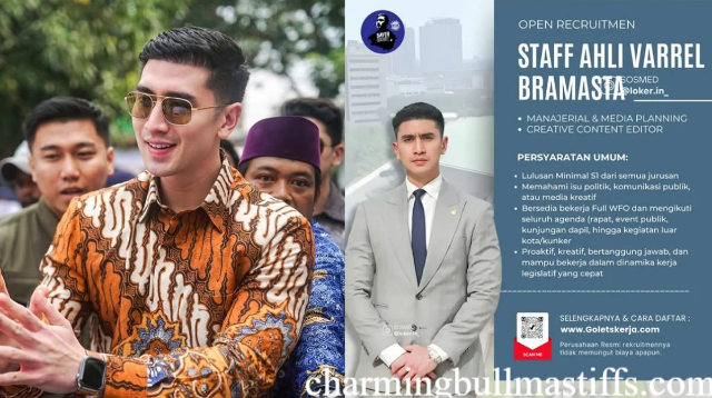 Viral! Loker Staf Ahli Verrell Bramasta, Simak Syaratnya