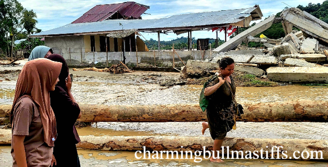 Kisah Wanita Padang: Rumah Baru Ludes Disapu Banjir
