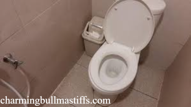 Viral Toilet Blok M, Benarkah Jelek?
